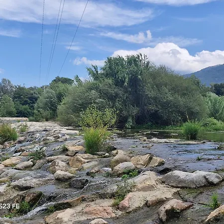 Llucia ル・ブールー